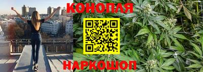 хмурый Гай