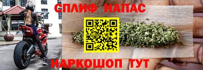 хмурый Гай