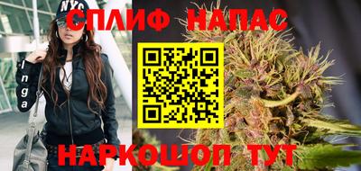 хмурый Гай