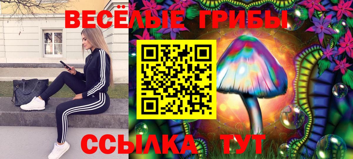купить наркотик  Вход с VPN  Грязи  Псилоцибиновые грибы мицелий  Псилоцибиновые грибы Cubensis 