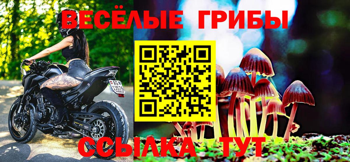 Псилоцибиновые грибы ЛСД Грязи